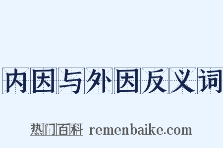 内因与外因反义词是什么意思的图片